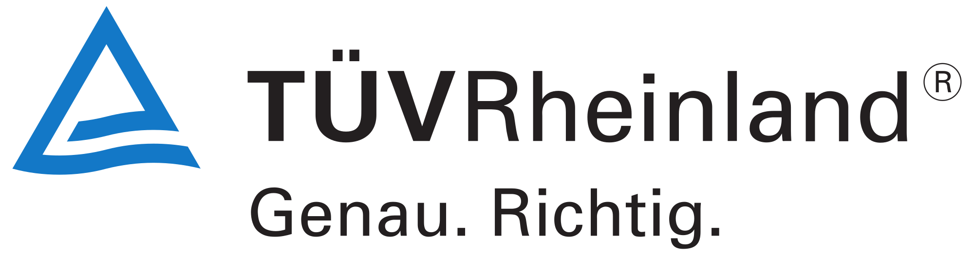 leadermanufaktur-referenzen-TUEV-Rheinland-Logo1